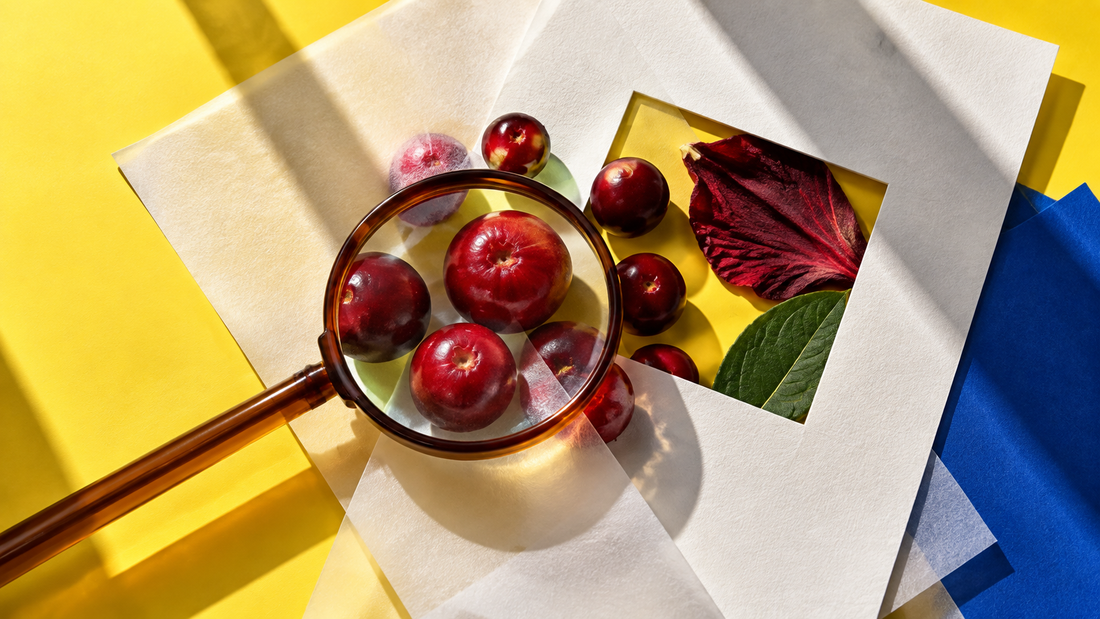 Cranberries and a hibiscus petal seen through a magnifying glass amid blank cut-paper layers on a bright yellow and blue background